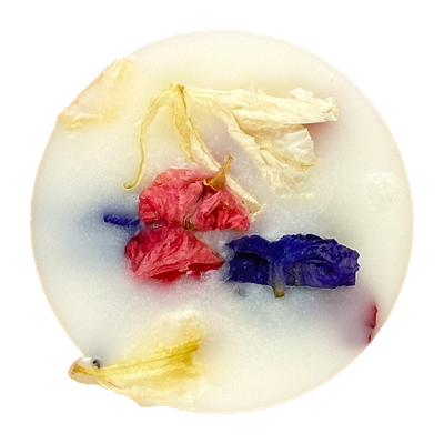 Eco-Friendly MYSTERY Mix Wax Melt Box The Candle Brand Home Fragrance