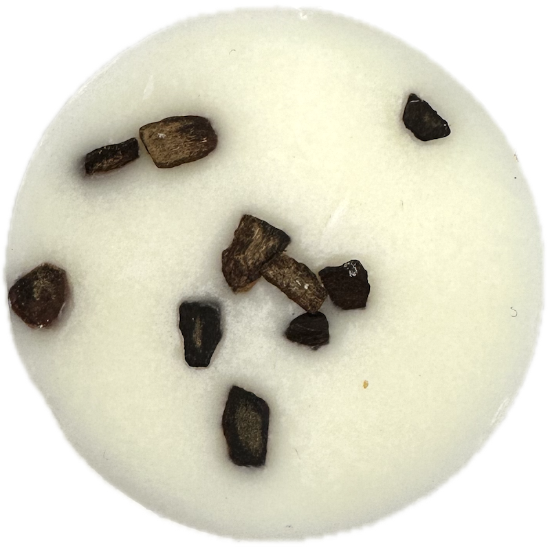 Winter| Blackberry with Cinnamon Wax Melt Domes