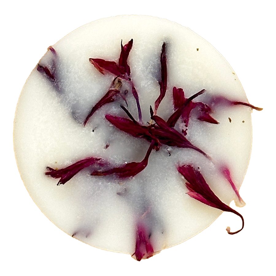 Winter| Cranberry with Ginger Wax Melt Domes