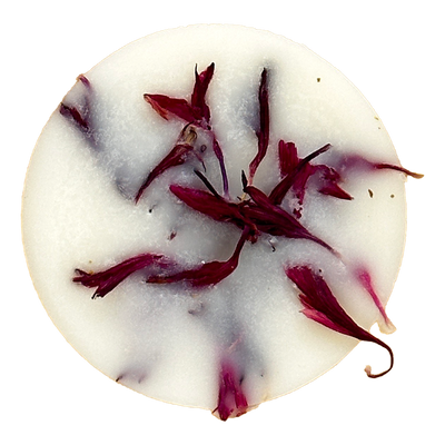 Winter| Cranberry with Ginger Wax Melt Domes