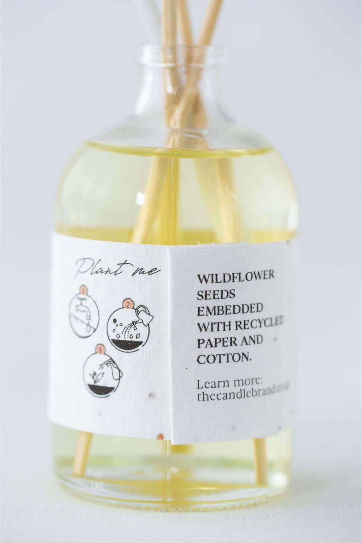 Winter| Blackberry with Cinnamon